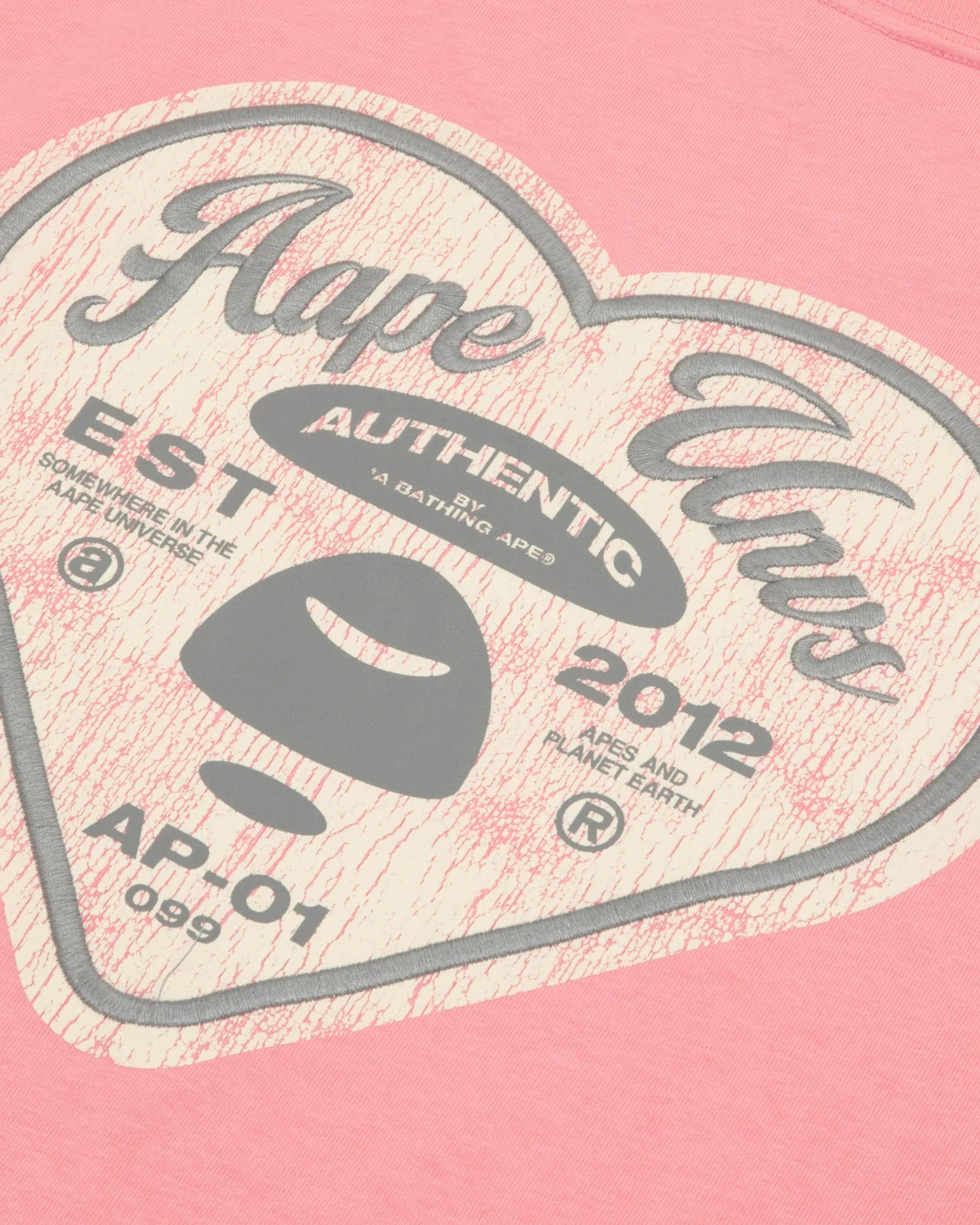 AAPEUNVS graphic tee - Image 14