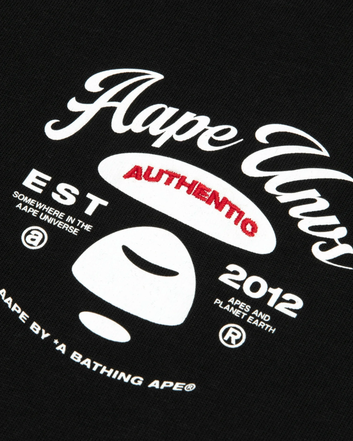 AAPEUNVS graphic tee - Image 3